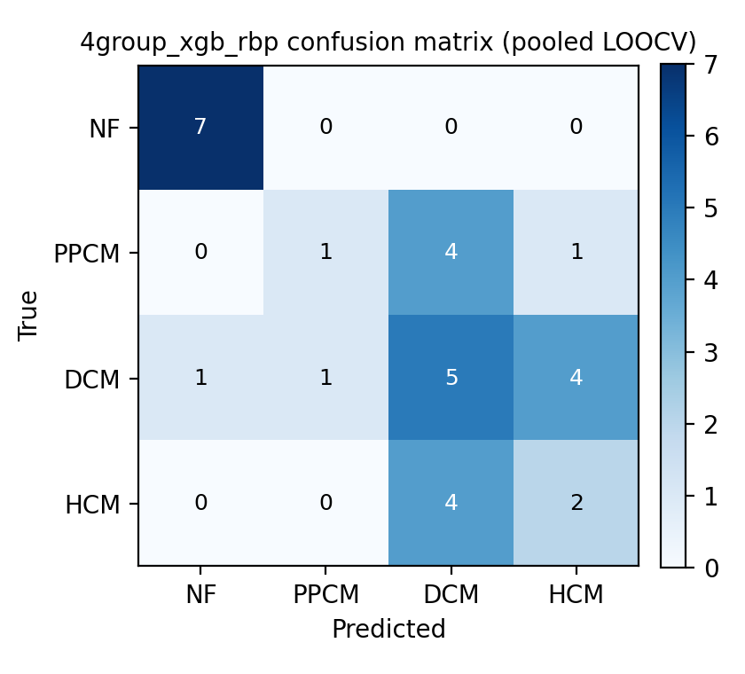 4group_xgb_rbp confusion matrix